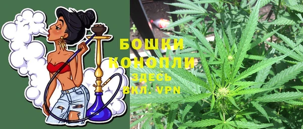 прущие грибы Пролетарск