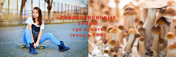 марихуана Абинск